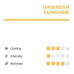 HAWAIIN SUNSHINE PINEAPPLE RELX POD - Image 2