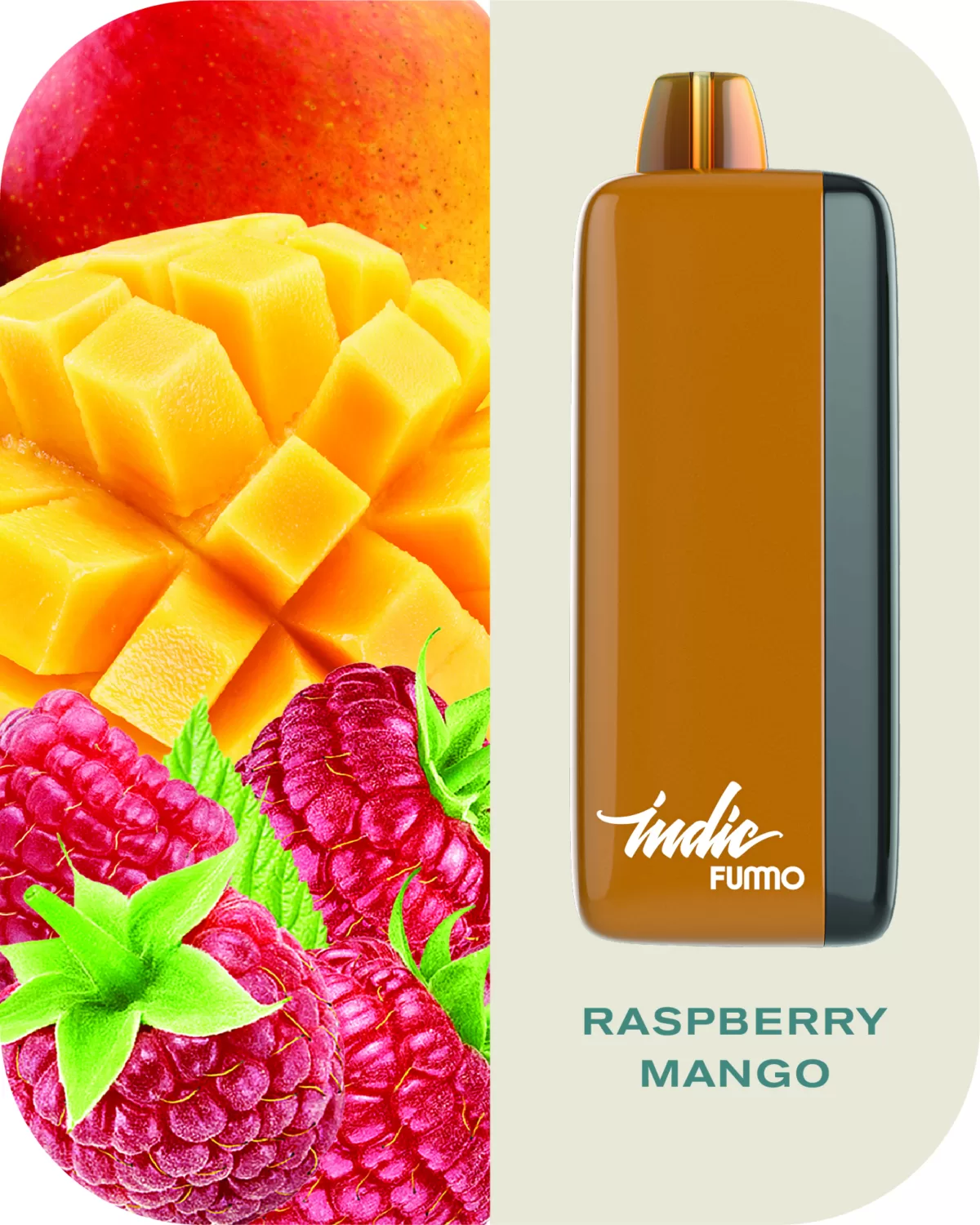 FUMMO - INDIC DISPOSABLES 10,000 PUFFS - Image 3